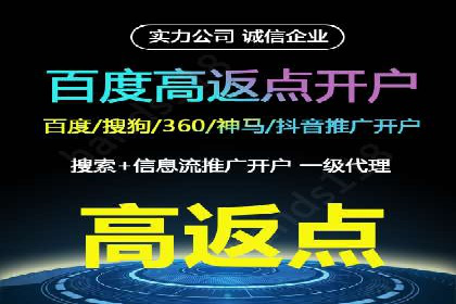 某电商平台的SEM服务全解析